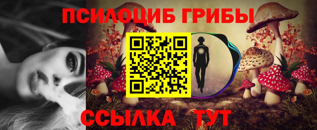 Дмитров  Галлюциногенные грибы мицелий  Вход с VPN 